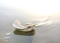 Stock Photography